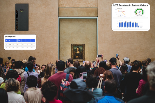 Analyzing Visitor Trends with Wellpoint Data
