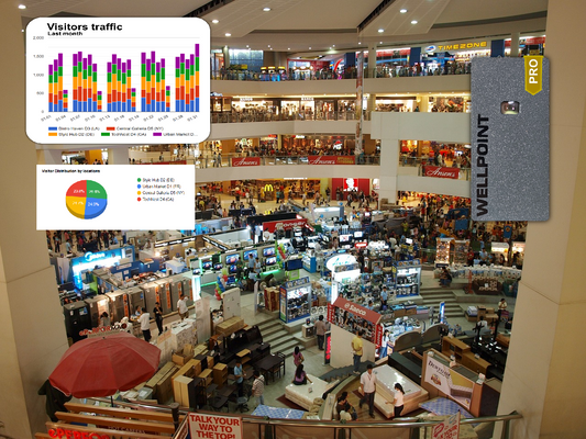The Advanced Features of Wellpoint People Counters