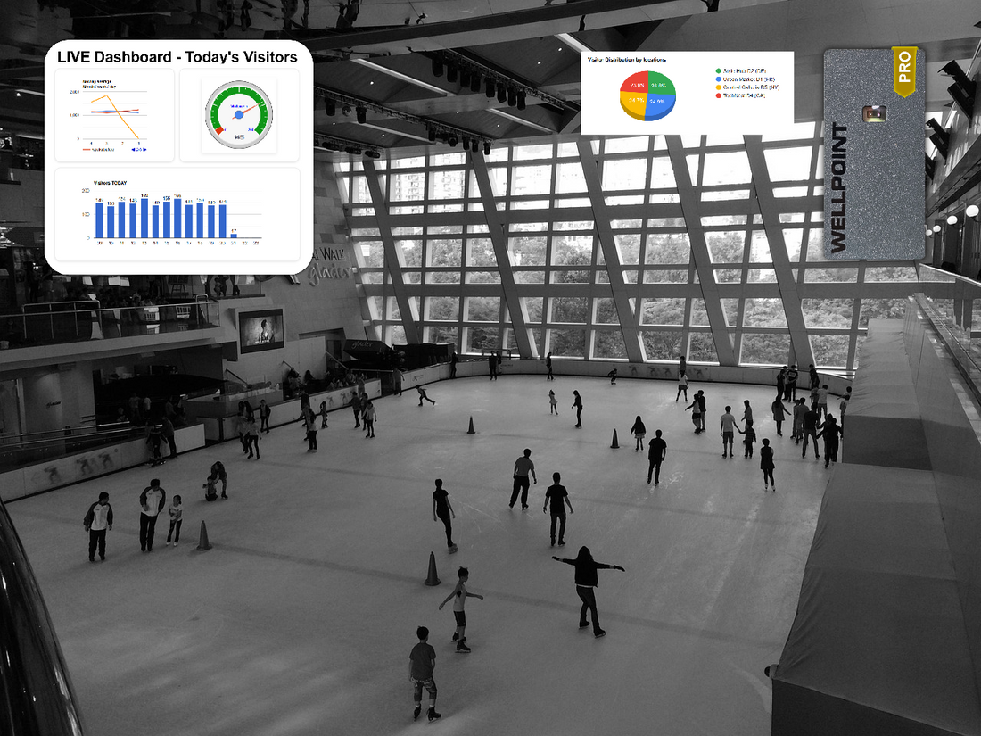 How Wellpoint Uses Analytics to Deliver Actionable Insights