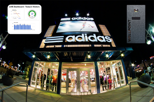 Leveraging Visitor Analytics for Multichannel Marketing Success with Wellpoint - blog