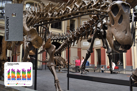 How Wellpoint Innovates in the People Counting Space