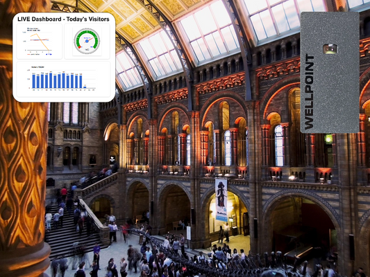 How to Calibrate Your Wellpoint People Counter for Best Results