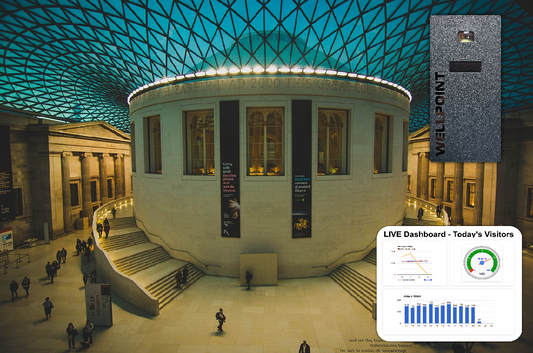 The Role of People Counting in Enhancing Museum Exhibit Engagement with Wellpoint - blog