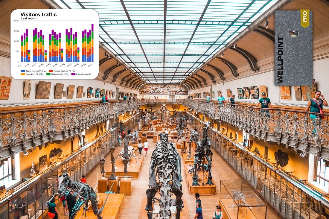 How Museums Use Wellpoint People Counters for Smarter Traffic Management - blog
