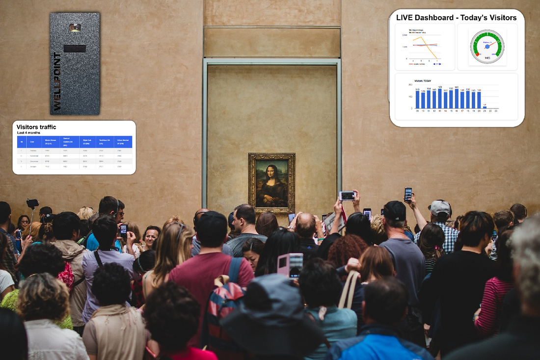 AI-Driven Anomaly Detection in Visitor Patterns with Wellpoint - blog