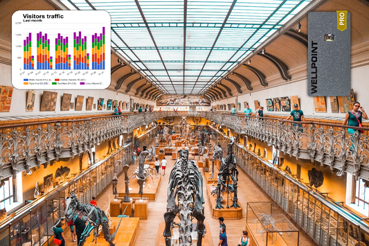 How Museums Use Wellpoint People Counters for Smarter Traffic Management