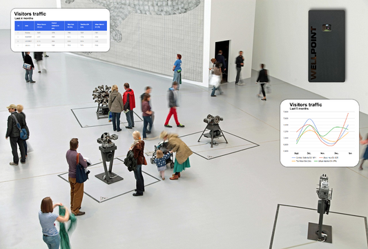 How Wellpoint Protects Visitor Privacy