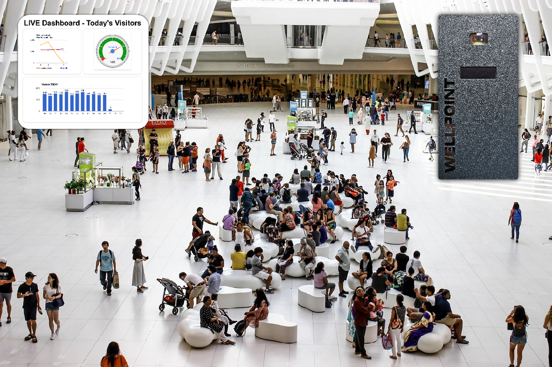 Visitor Analytics and Its Impact on Urban Planning with Wellpoint - blog