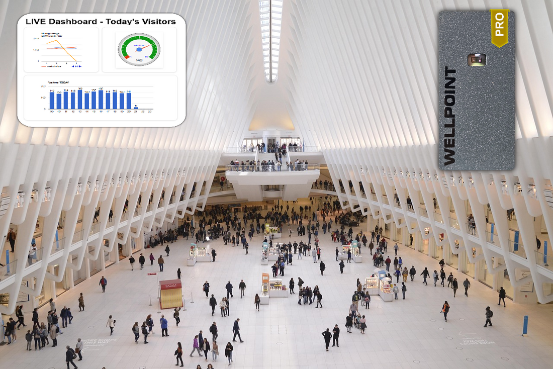 Government and Public Buildings: Smarter Visitor Analytics with Wellpoint