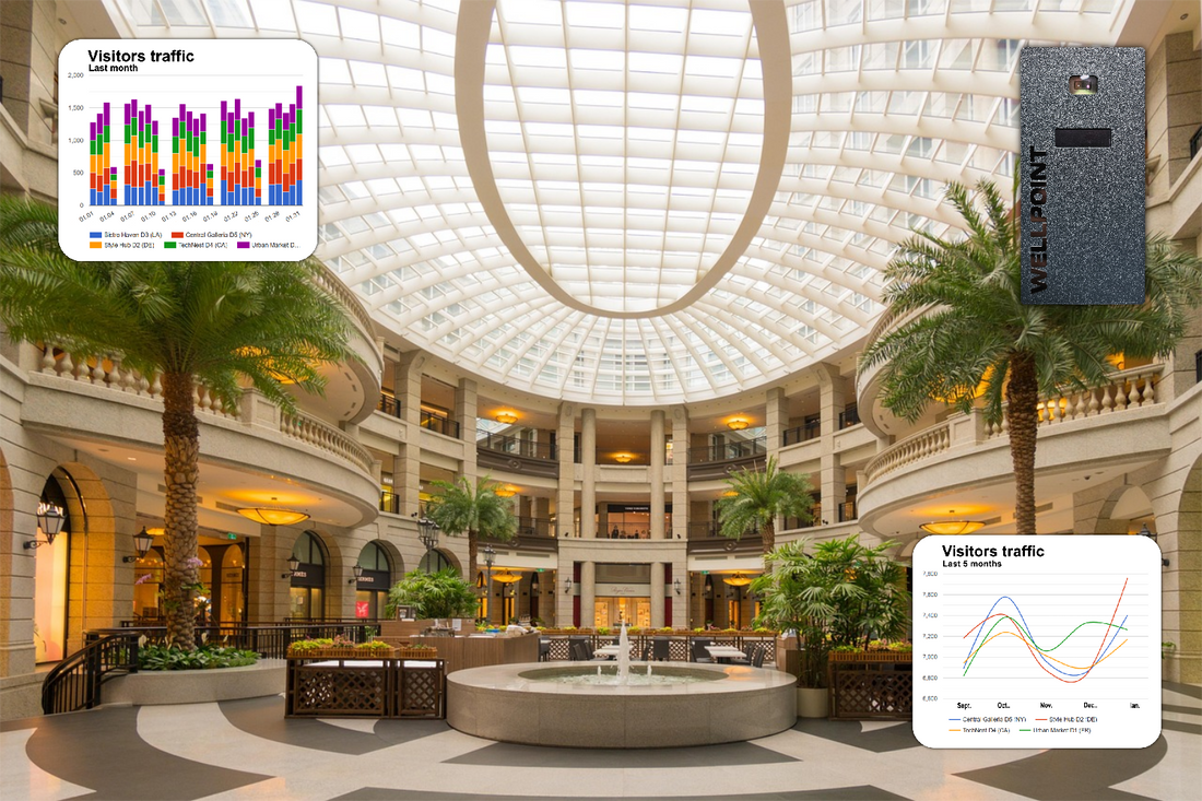 Unlocking Shopper Patterns with Wellpoint Analytics - blog