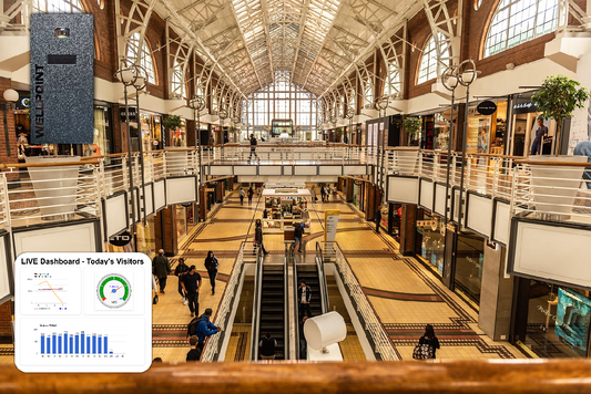 Improving Warehouse Operations Through Visitor Flow Analysis with Wellpoint - blog