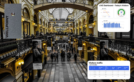 Beginner’s Guide to Wellpoint People Counter Setup