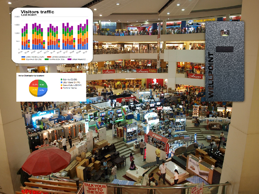 Prevent Inventory Overstock with Real-Time Foot Traffic Data by Wellpoint - blog