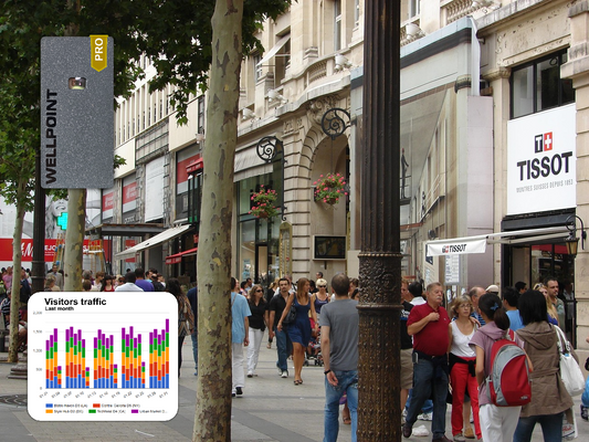 Evaluating the ROI of Visitor Analytics for Your Business