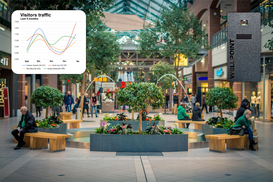 Utilizing Foot Traffic Data for Seasonal Staffing Adjustments with Wellpoint - blog