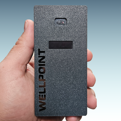 Real Time Counter WELLPOINT People Counter Real-Time Visitor - Device Subscription