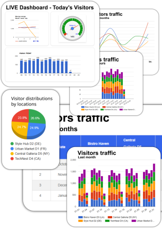 PRO Plan - WELLPOINT People Counter Real-Time Visitor Insights - (People Counter device NOT Included)